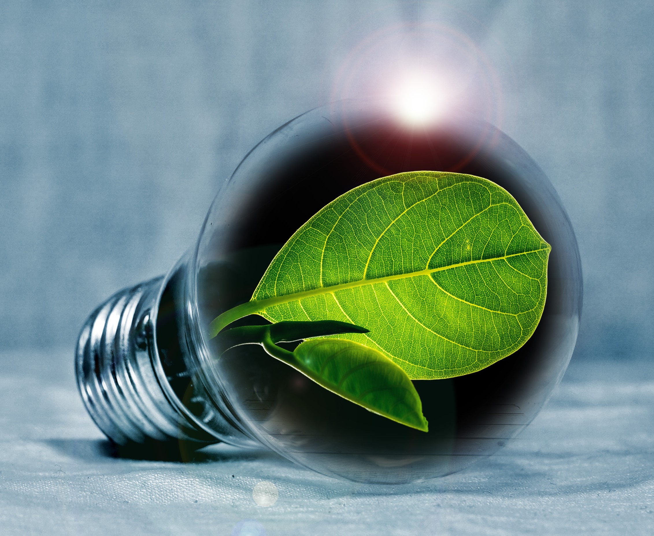 light-bulb-2631864