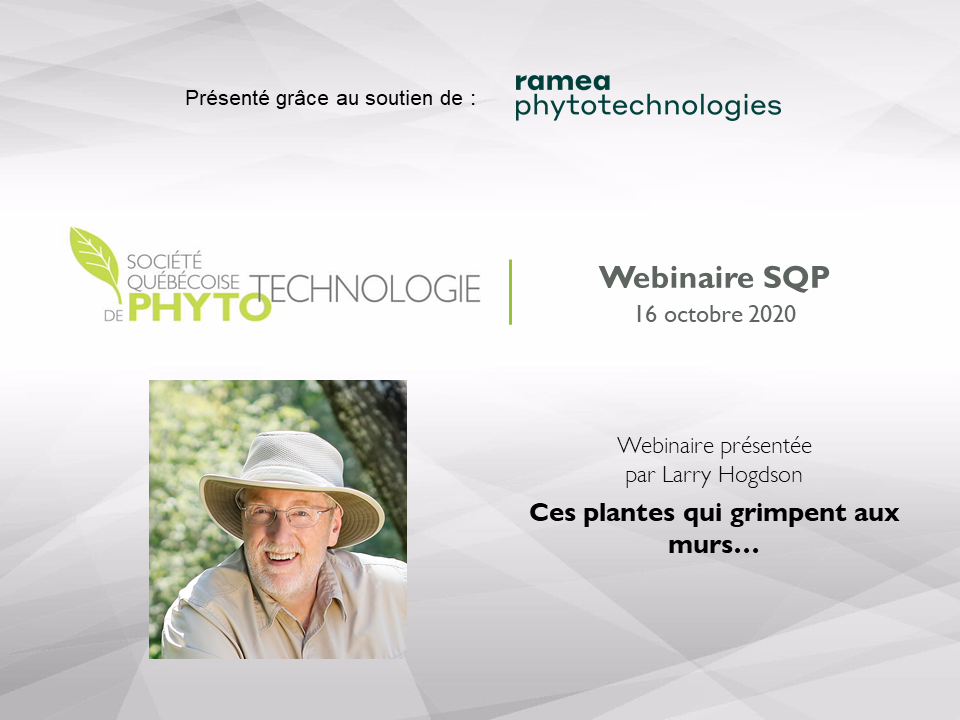 Diapo accueil - Webinaire 16-10-2020