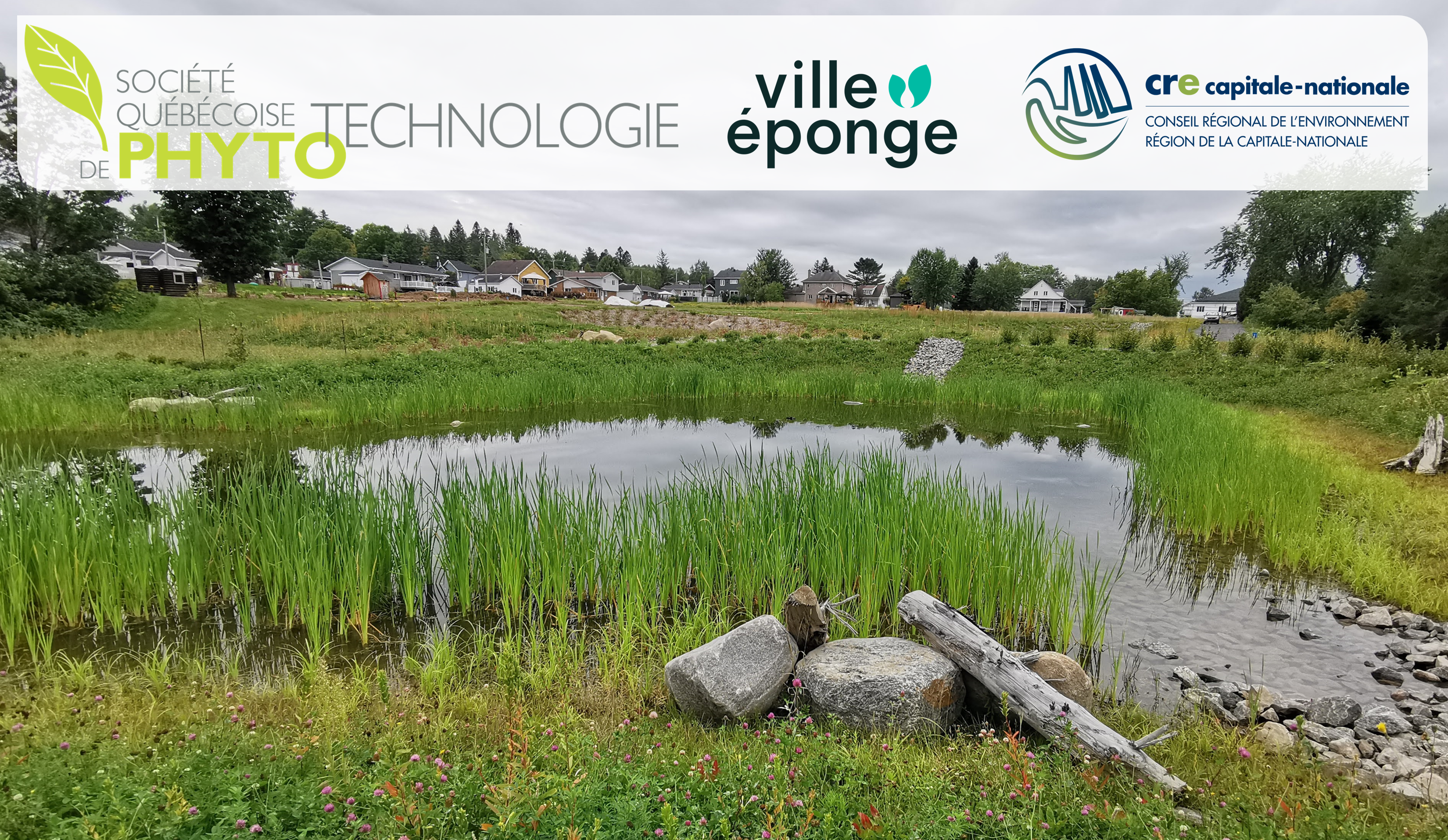 image site web visite sans commanditaires